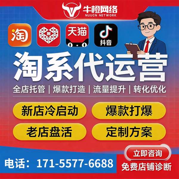 伊犁电商代运营
