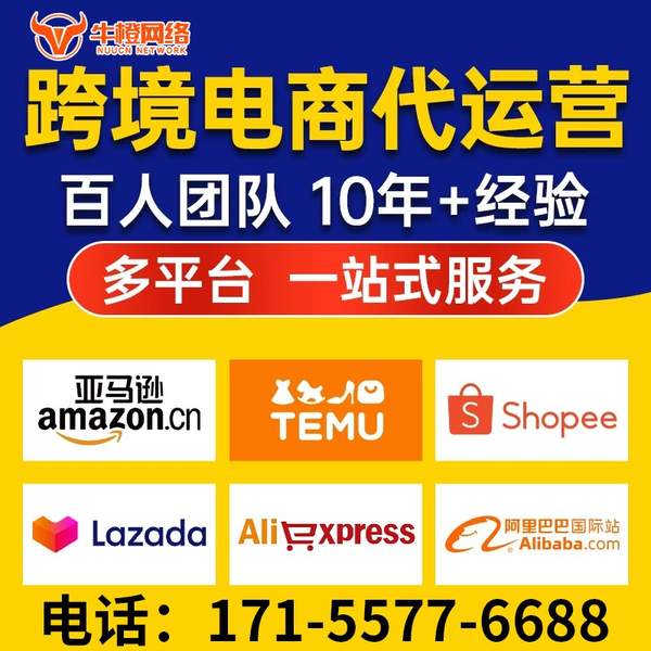 伊犁电商代运营