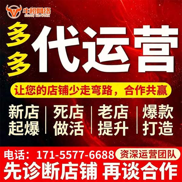 伊犁电商代运营