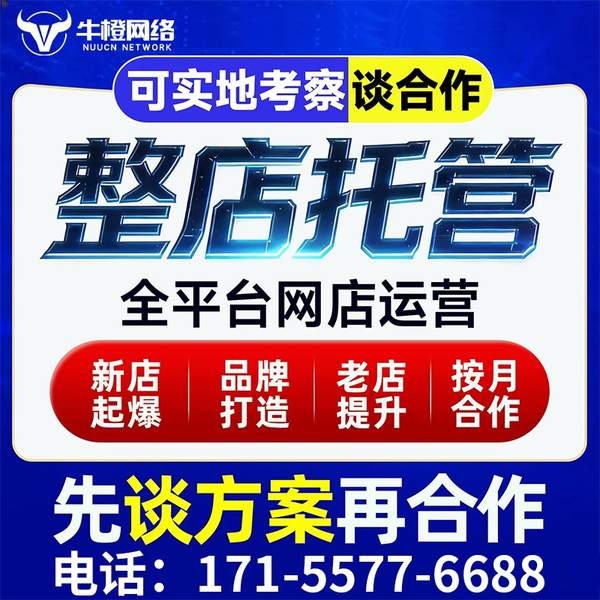 伊犁电商代运营