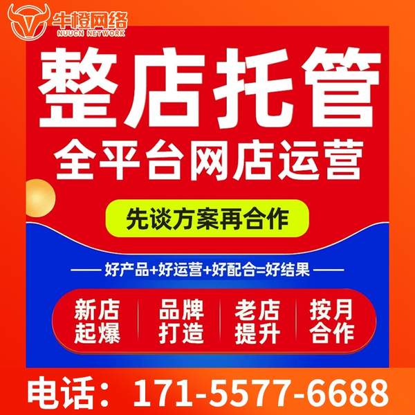 伊犁电商代运营