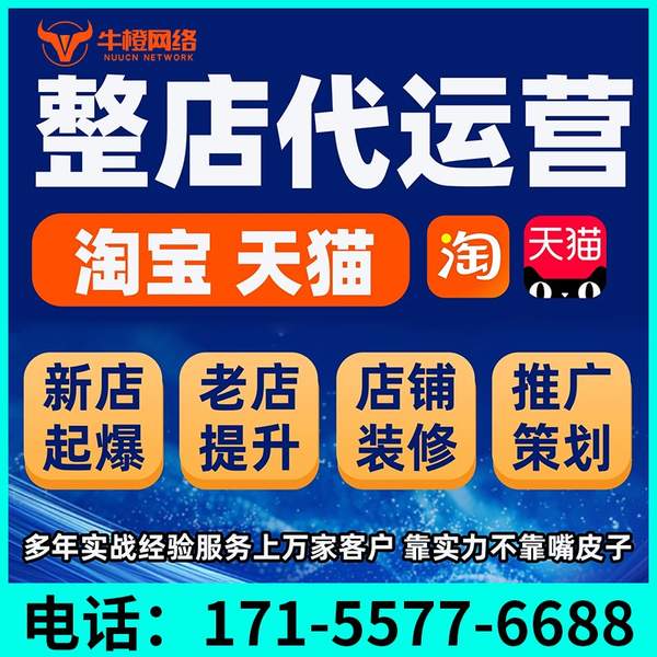 伊犁电商代运营