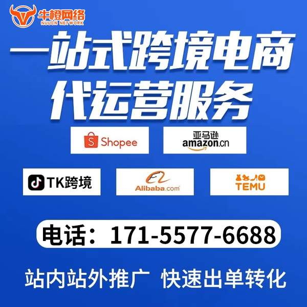 伊犁电商代运营
