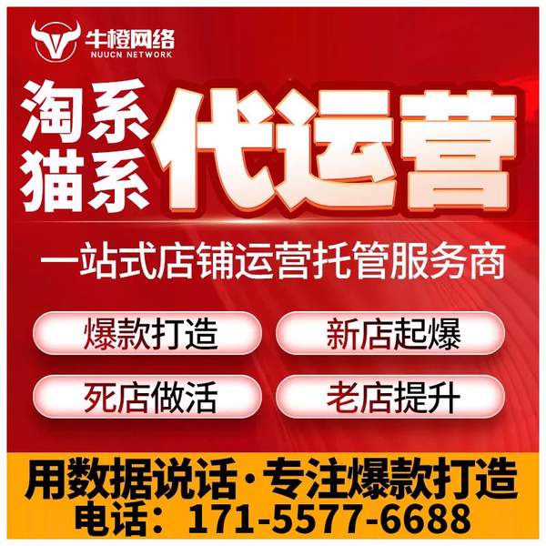 伊犁电商代运营